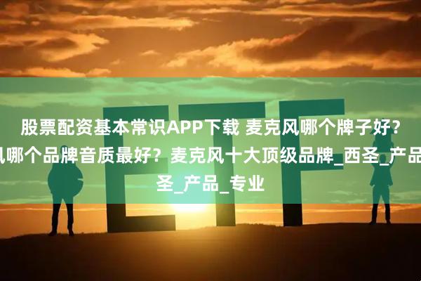 股票配资基本常识APP下载 麦克风哪个牌子好?麦克风哪个品牌音质最好?麦克风十大顶级品牌_西圣_产品_专业
