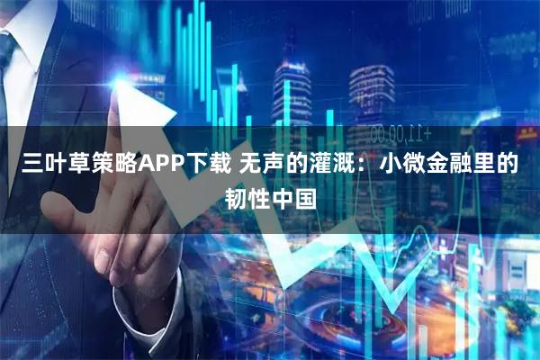 三叶草策略APP下载 无声的灌溉：小微金融里的韧性中国