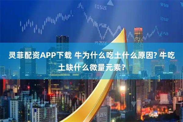 灵菲配资APP下载 牛为什么吃土什么原因? 牛吃土缺什么微量元素？