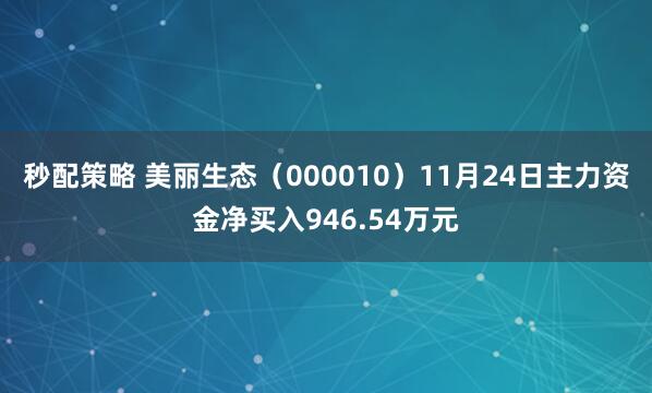 秒配策略 美丽生态（000010）11月24日主力资金净买入946.54万元